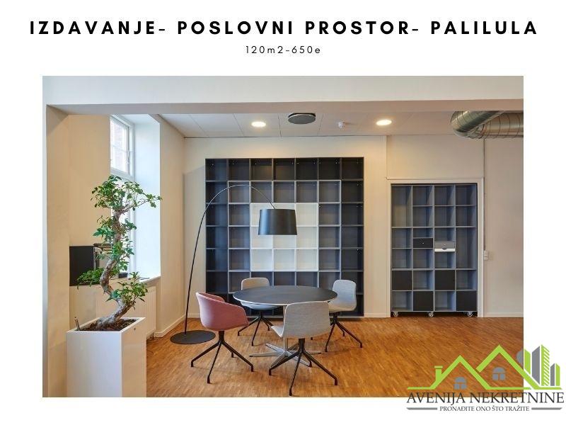 Izdavanje- Poslovni prostor- Palilula