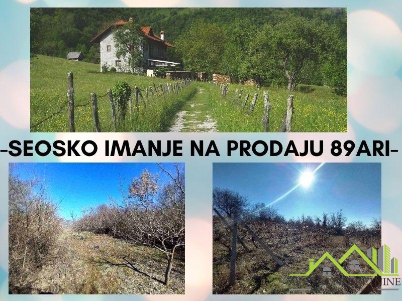 Fenomenalno seosko imanje na prodaju, 89 Ari