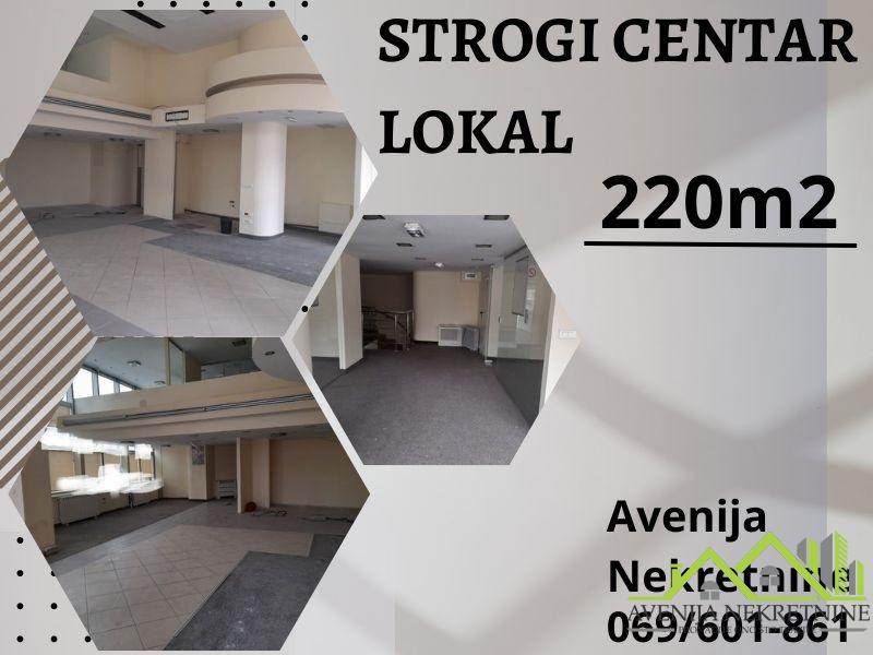 Top Ponuda , Strogi Centar Niša , 220m2