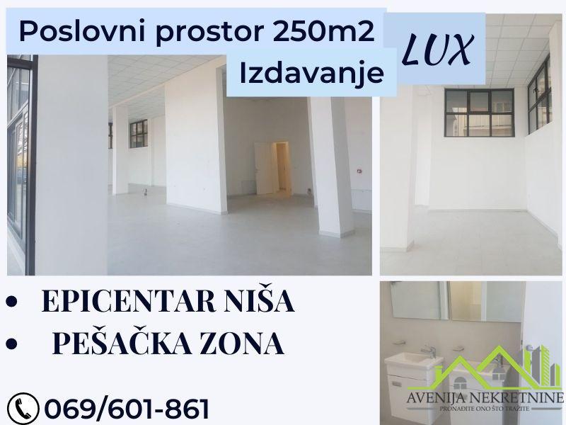 Top Ponuda , Poslovni Prostor Epicentar Niša 250m2,  Izdavanje