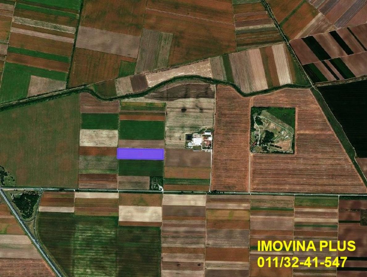 Stara Pazova - Stari Banovci, 6.5ha